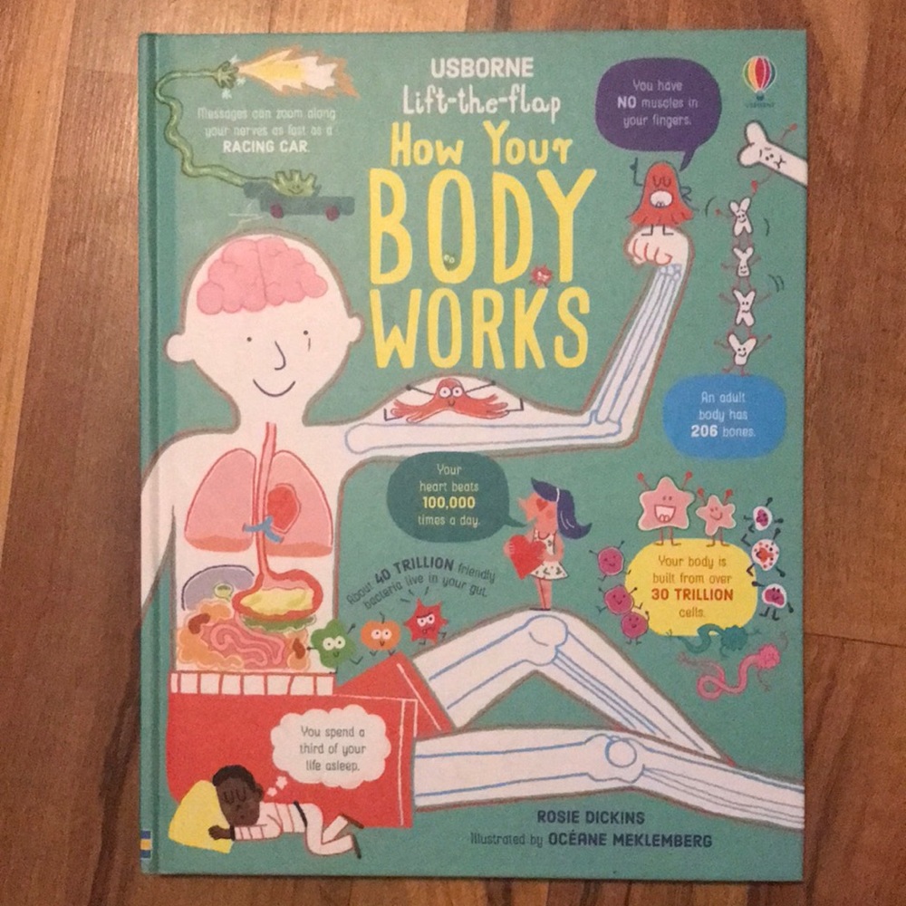Usborne lift the flap How Your Body Works